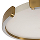 Потолочный светодиодный светильник Loft It Ring 10026