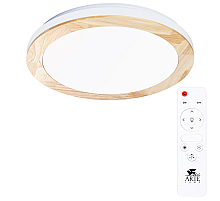 Потолочный светодиодный светильник Arte Lamp Luce A2685PL-72WH