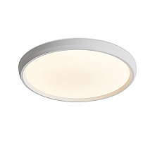 Потолочный светильник Freya Obelle FR6211CL-L24W
