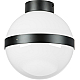 Потолочный светильник Lightstar Globo 812117