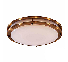 Настенно-потолочный светильник Citilux Бостон CL709503N