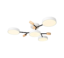 Потолочный светильник Freya Crown FR6119CL-L48W