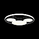 Потолочный светодиодный светильник Loft It Mike 10166