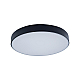 Потолочный светодиодный светильник Loft IT Axel 10002/24 black