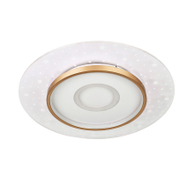 Потолочный светильник LED4U L1027-500 WH-GD