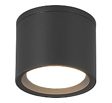 Уличный потолочный светильник ST Luce Tubo SL9006.702.01