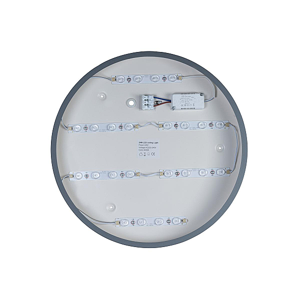 Потолочный светодиодный светильник Loft IT Axel 10003/24 grey