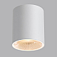 Потолочный светильник Odeon Light HIGHTECH 7139/12CL