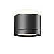 Потолочный светильник Maytoni Technical C120CL-GX53-B