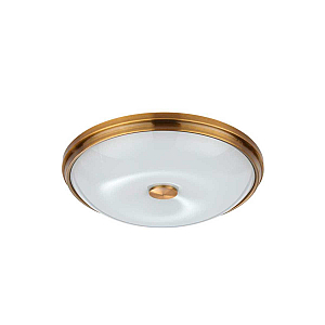 Настенно-потолочный светильник Odeon Light Pelow 4956/4