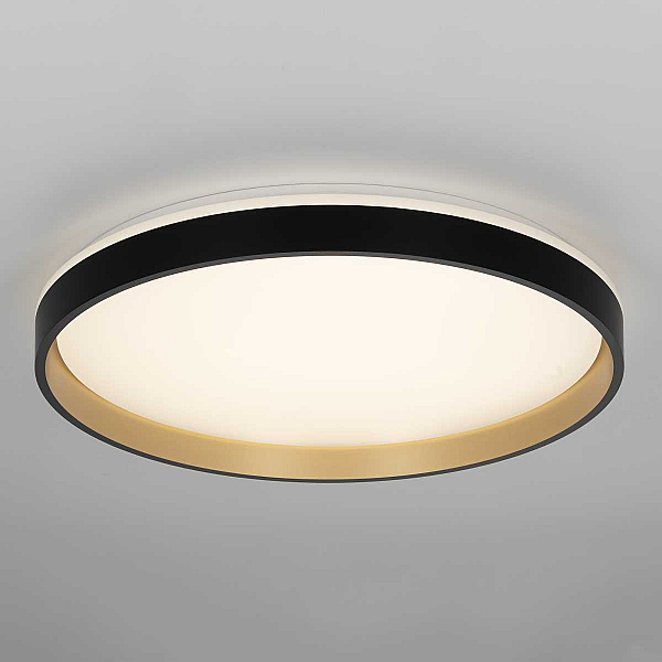 Потолочный светильник Citilux CL753511G
