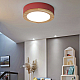 Потолочный светильник ImperiumLoft Wudda 179770-26