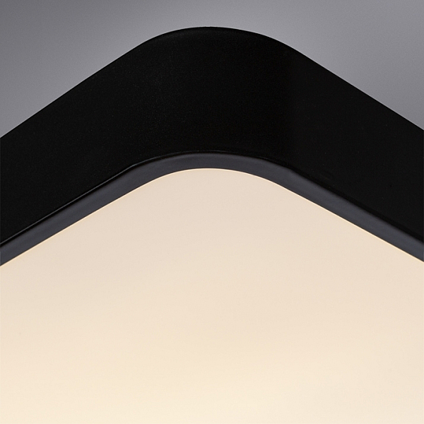 Потолочный светильник Arte Lamp A2663PL-1BK