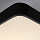 Потолочный светильник Arte Lamp A2663PL-1BK