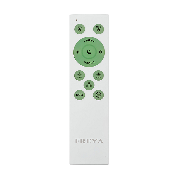 Потолочный светильник Freya Cells FR10013CL-L24W
