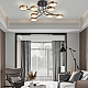 Потолочный светильник Arte Milano Ferrara 277999/8 BK/GD