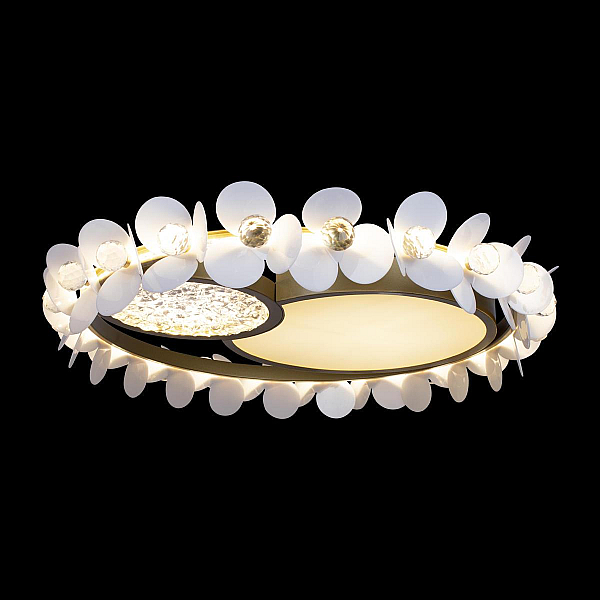 Потолочный светодиодный светильник Loft It Bride 10174