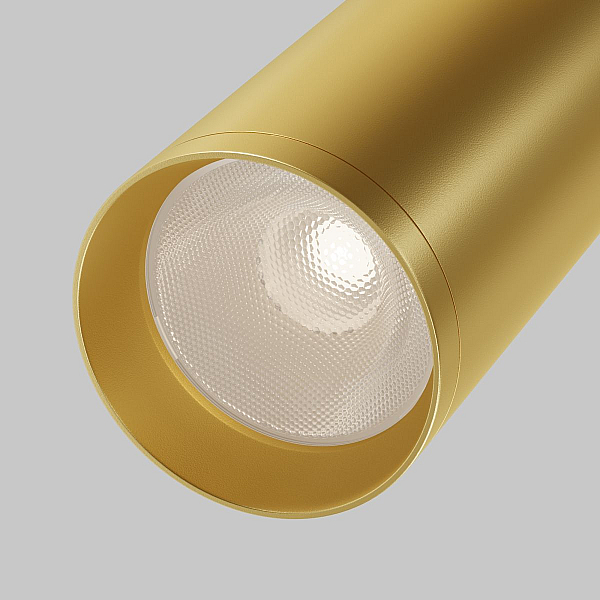Потолочный светильник Maytoni Technical Focus C017CW-01MG-N
