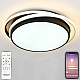 Потолочный светодиодный светильник Natali Kovaltseva 81038/5C