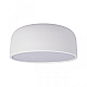 Потолочный светодиодный светильник Loft IT Axel 10201/350 White