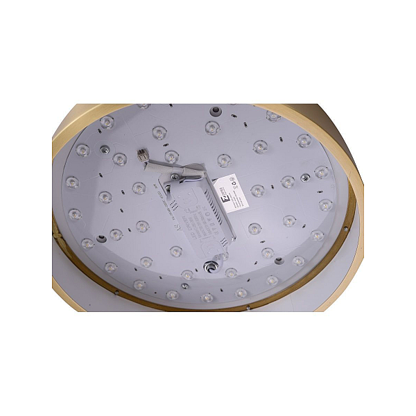 Потолочный светодиодный светильник Zortes Monna ZRS.1209.10