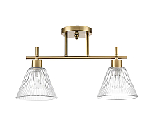 Потолочный светильник Lumion Vivian 8188/2C