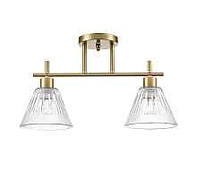 Потолочный светильник Lumion Vivian 8188/2C