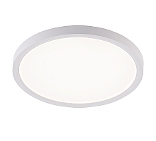 Потолочный светильник Natali Kovaltseva Plain LED LAMPS 81113/2C
