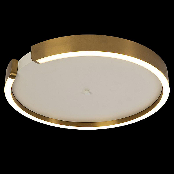 Потолочный светодиодный светильник Loft It Ring 10026