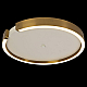 Потолочный светодиодный светильник Loft It Ring 10026