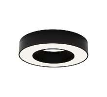 Потолочный светильник Maytoni Lua C093CL-24W4K-B