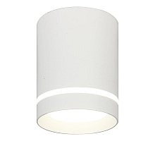 Потолочный светильник 20009 20009SMU/01LED SWH