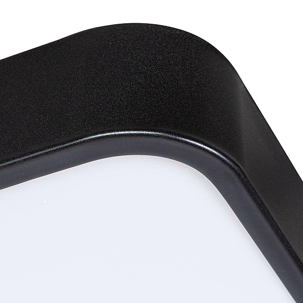 Потолочный светодиодный светильник Arte Lamp Scenaa A2687PL-45BK