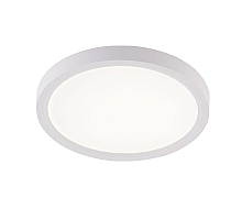 Потолочный светильник Natali Kovaltseva Plain LED LAMPS 81113/1C
