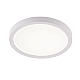 Потолочный светильник Natali Kovaltseva Plain LED LAMPS 81113/1C