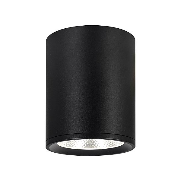 Потолочный светодиодный светильник Escada 20003SMU/02LED SBK