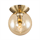Потолочный светильник Citilux Томми CL102513