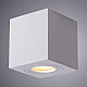 Потолочный светильник Arte Lamp Galopin A1461PL-1WH