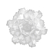 Потолочный светильник Loft IT Clizia 10595/530C White