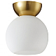 Потолочный светильник iLamp Mono C6079-1 GD+WH