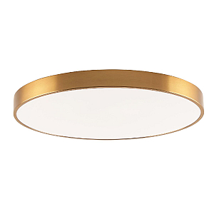 Потолочный светильник Zortes Tortty ZRS.02566.96