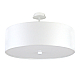 Потолочный светильник LightHall Viviana 50 LH022003