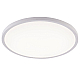 Потолочный светильник Natali Kovaltseva Plain LED LAMPS 81113/4C