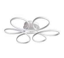 Потолочный светодиодный светильник Arte Lamp Diadema A2526PL-6WH