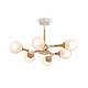 Потолочный светильник Freya Amy FR5105CL-06W