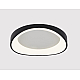 Потолочный светодиодный светильник Arte Lamp Sualocin A2698PL-60BK