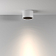 Потолочный светильник Maytoni Technical C122CL-GX53-W