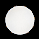 Потолочный светодиодный светильник Loft IT Axel 10006/36 white