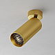 Потолочный светильник Maytoni Technical Focus C017CW-01MG-N