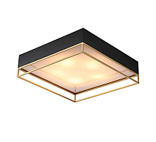 Накладная люстра ST-Luce SL1127.422.05